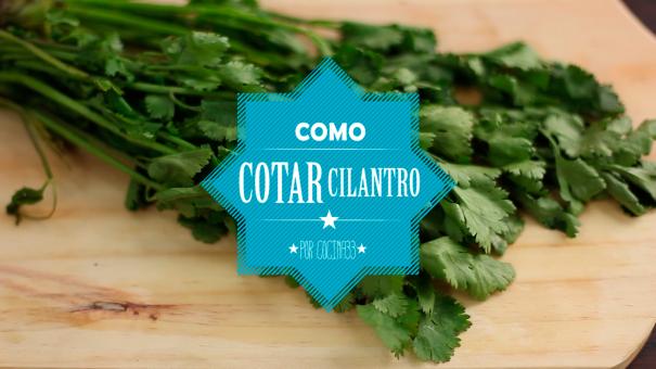 Como cortar cilantro