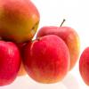 ver tecnicas de cocina relacionadas: Las Manzanas y Las Peras