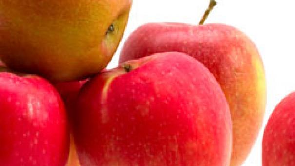 Las manzanas y las peras