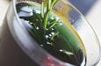 Rosemary (RECETA)