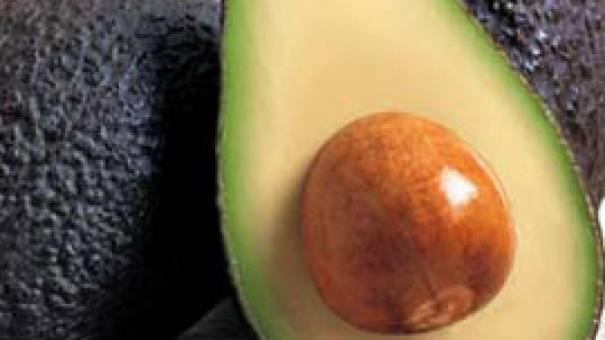 Aguacateaguacate (españa)